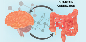 The Connection Between Gut Microbiome and Mental Health Disorders